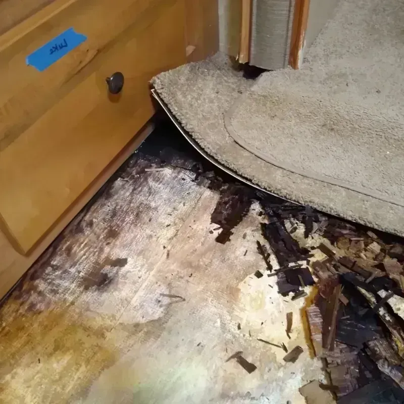 Wood Floor Water Damage in Harbor Hills, OH